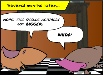 Several months later. | Meg: Nope. The shells actually got bigger. | Zeke: Whoa!
