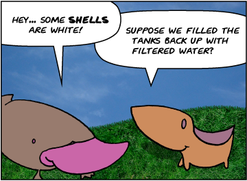 Zeke: Hey...shells are white! | Meg: Suppose we filled the tanks back up with filtered water?
